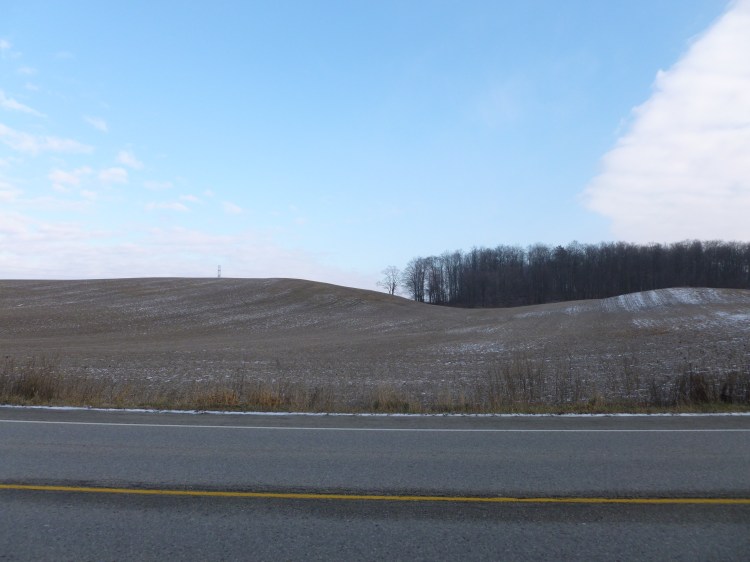 More field work on a cold December morning